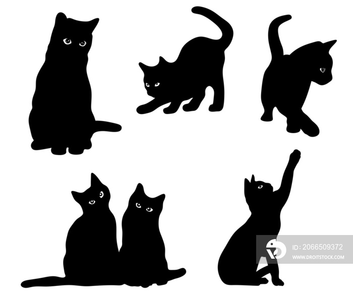 猫的剪影。一组猫的剪图。一只猫的独立插图。