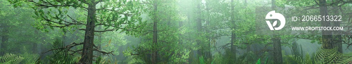 雾中的松林，雾中清晨的圣诞树，雾霾中的森林，3D渲染