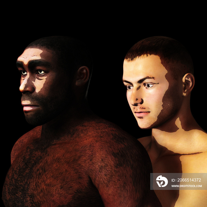 Digital 3D Illustration of a Homo Erectus