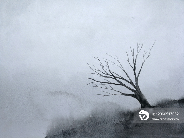 水彩风景——枯死的枯树独自矗立在草地上。传统东方水墨亚洲艺术st