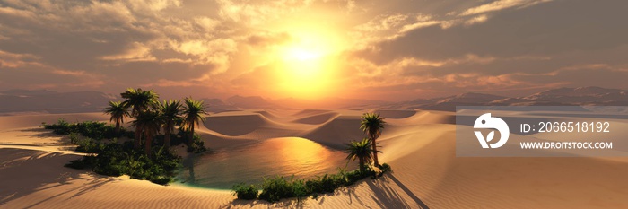 日落时沙漠中的棕榈树绿洲，3D渲染
