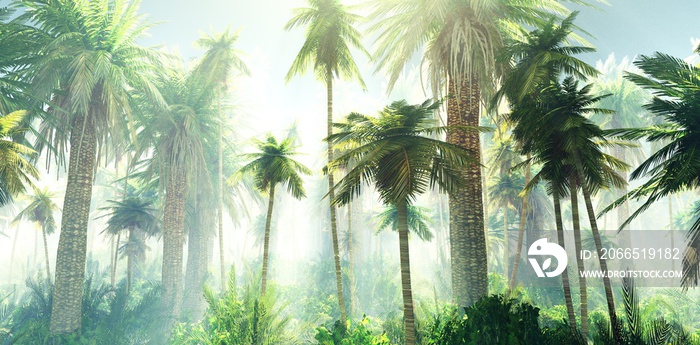 Jungle in the fog, palm trees in the morning in the haze, rays of light in the palm trees, 3D render