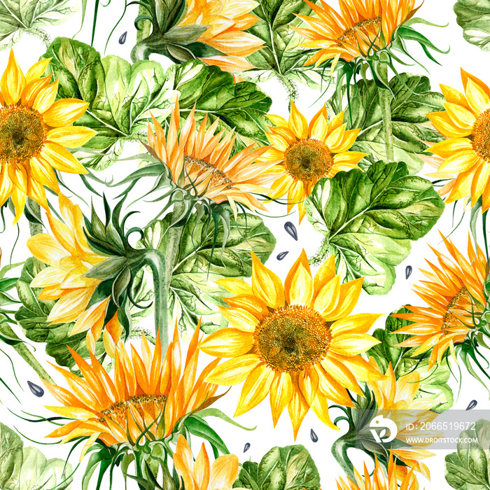 Beautiful watercolor seamless pattern with sunflower and leaves.