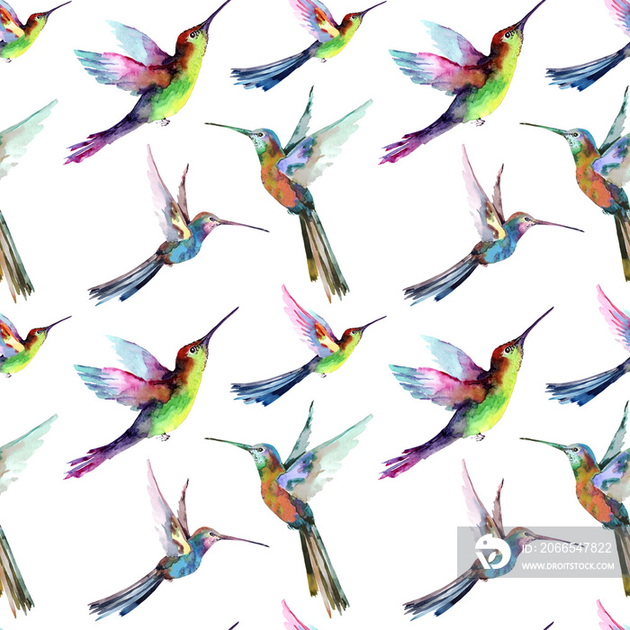 Seamless pattern with flying small tropical hummingbirds. Hand drawn watercolor painting on white ba