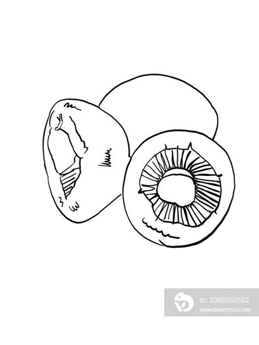 一束蘑菇的插图