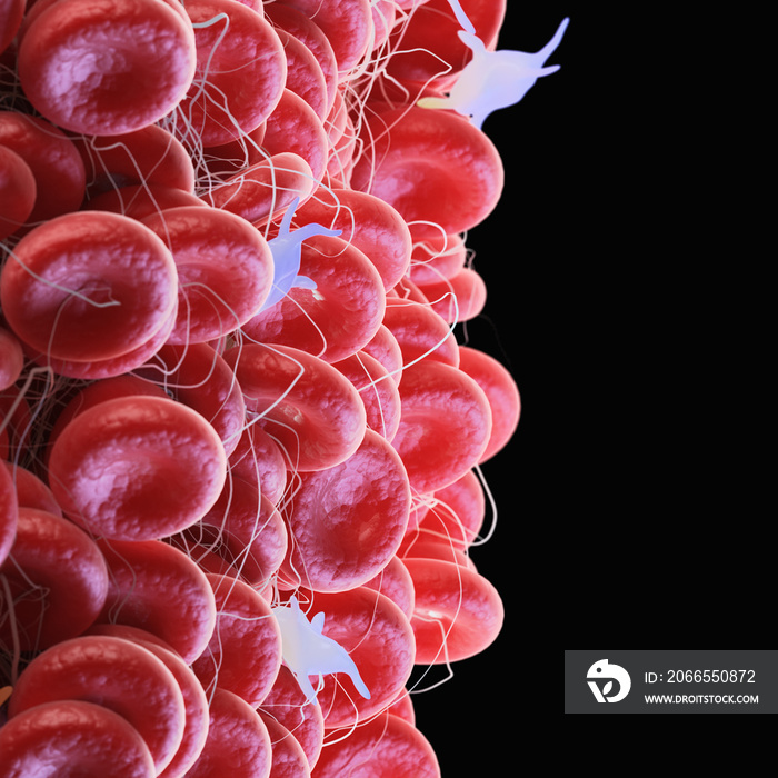 3d rendered medically accurate illustration of a blood clot