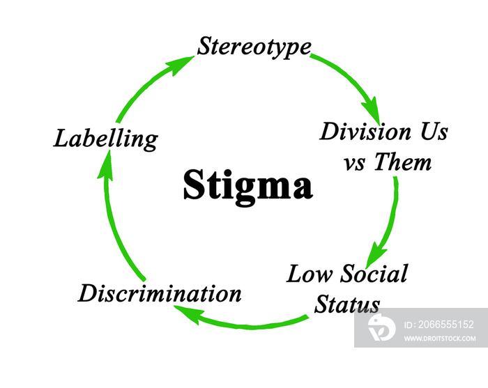 Components of cycle of stigma