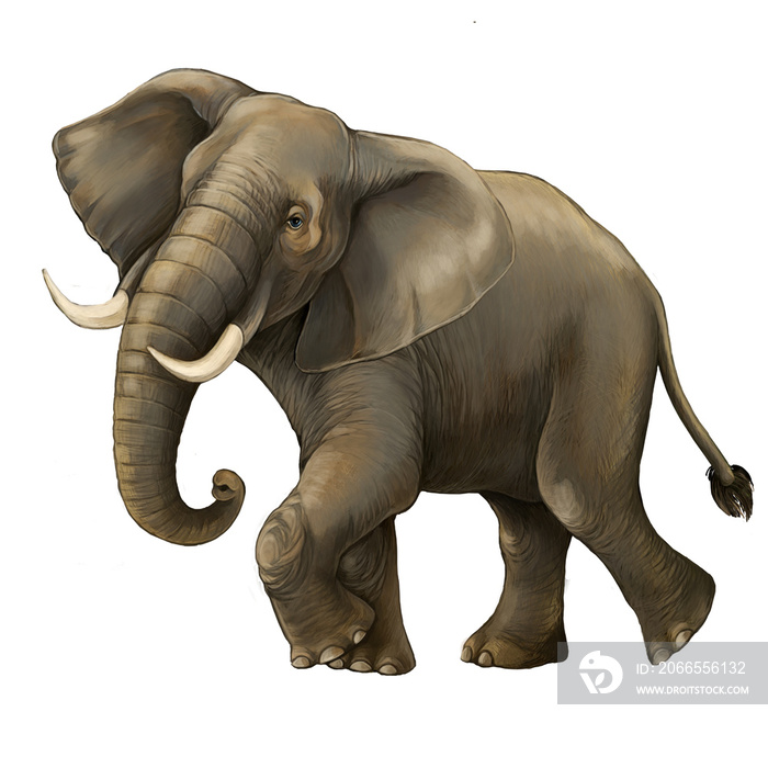 cartoon scene with big elephant on white background safari illustration for childrencartoon scene wi