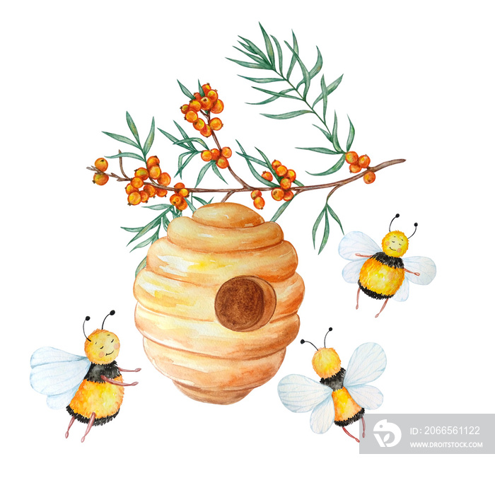 沙棘树枝上有蜜蜂的蜂巢
