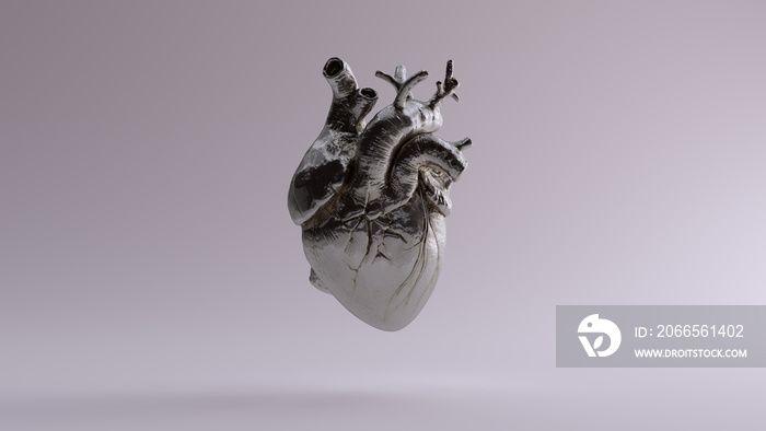 银色解剖心脏三维插图三维渲染图