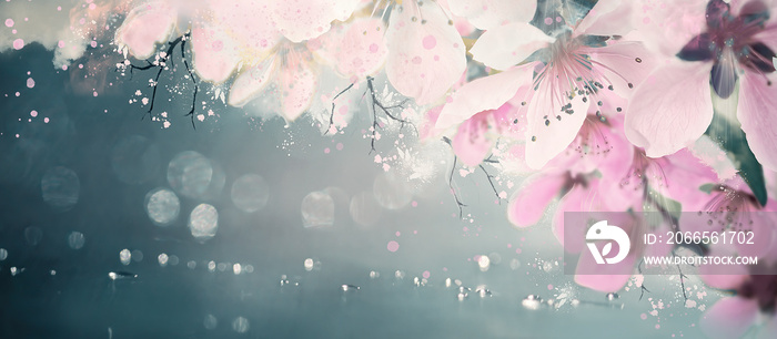 Spring floral background, pink