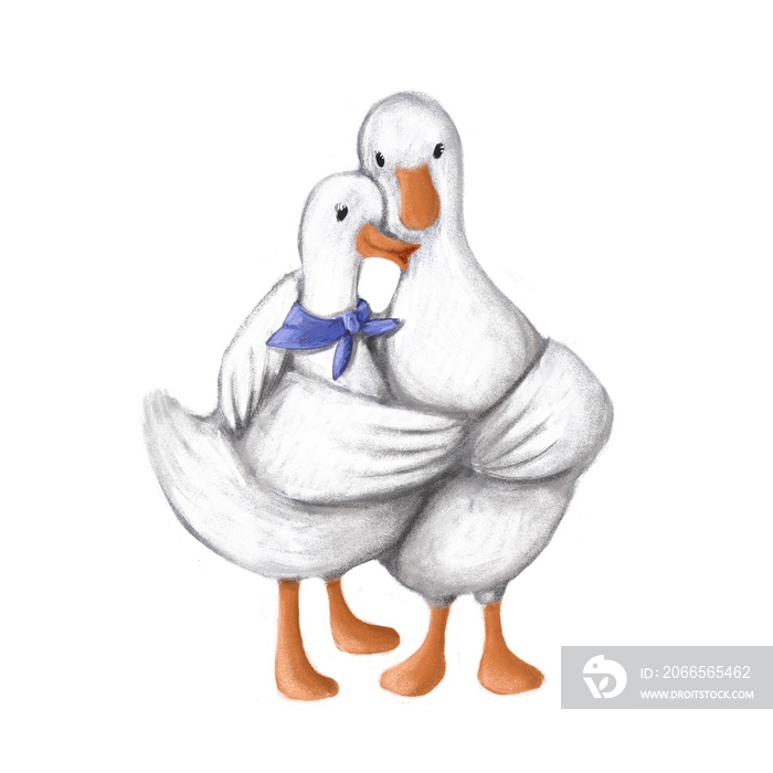 cute couple geese embracing, tender hugs clipart, hand drawn illustration of family love, t-shirt pr