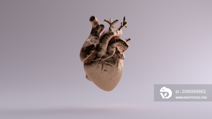 青铜解剖心脏三维插图三维渲染图