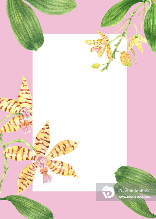 菲律宾植物群邀请模板蝴蝶兰