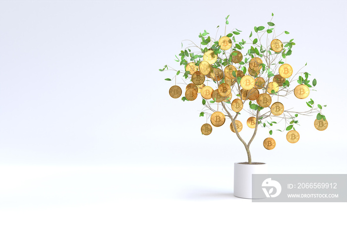 Golden Bitcoin growing on a pots, Cryptocurrency Bitcoin concept