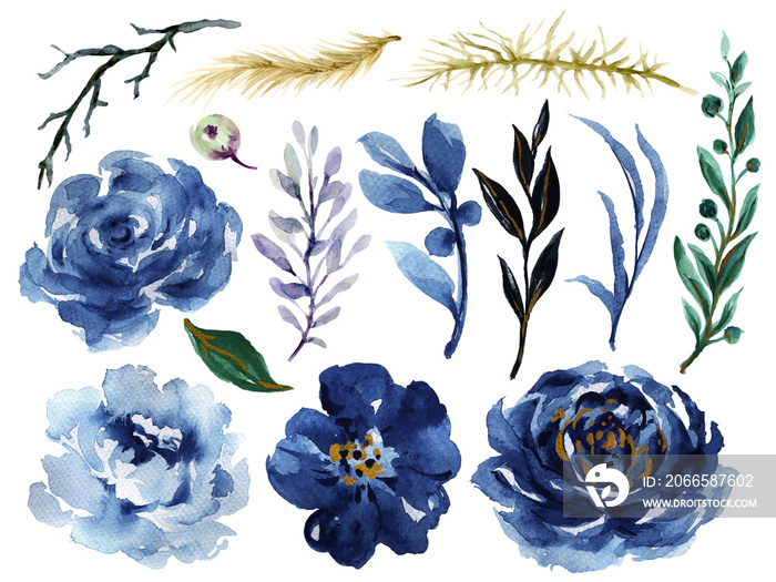 Watercolor Blue and green and black illustration Botanical flower leaves collection Set of wild and 