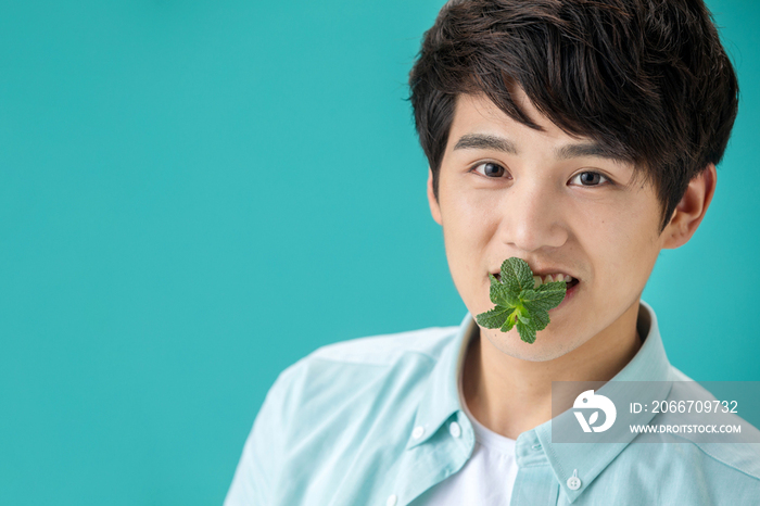 含着薄荷叶的年轻男人