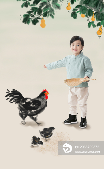 小男孩拿着簸箕撒谷物喂鸡