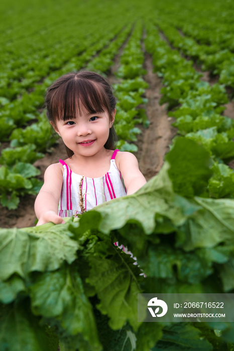 东方儿童在农庄采摘蔬菜