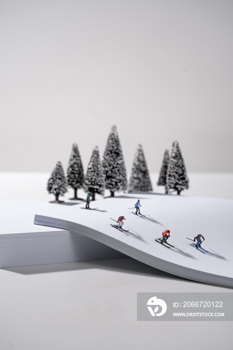 微观滑雪运动