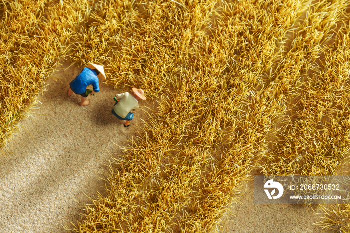 农民收割麦子