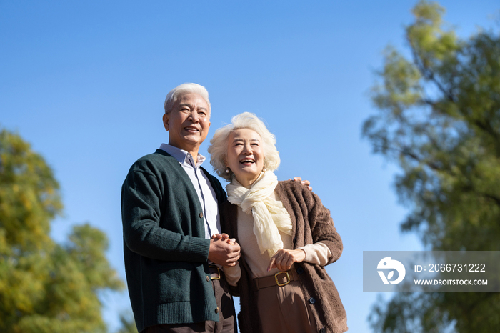 户外幸福的老年夫妇