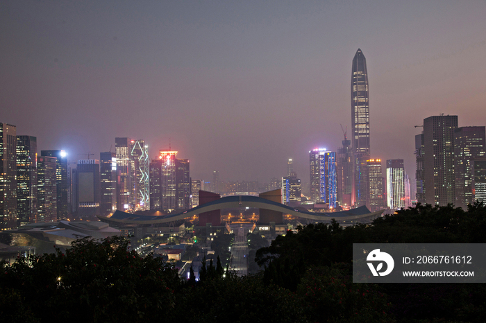 广东省深圳莲花山夜景