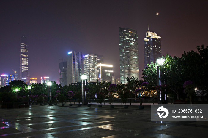 广东省深圳莲花山夜景