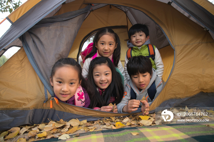 小学生在户外露营