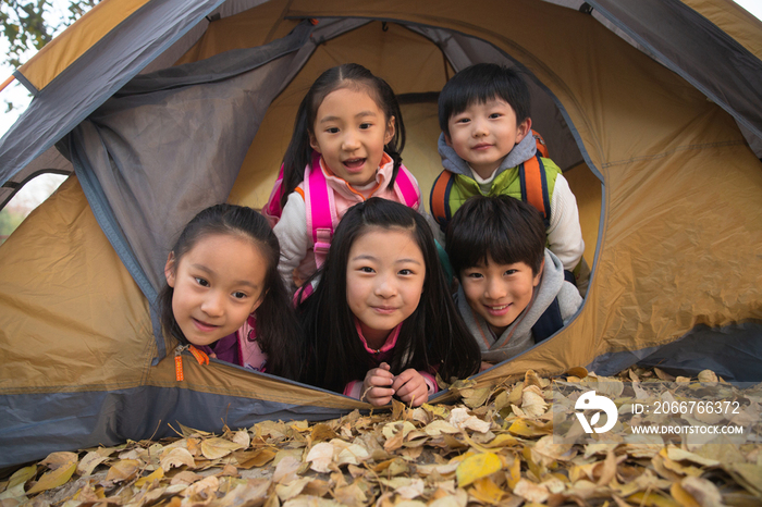 小学生在户外露营