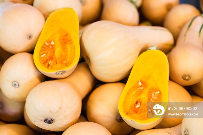 Fresh Honeynut Butternut Squash at a produce stand. Raw Orange Organic Butternut Squash Ready to Bak