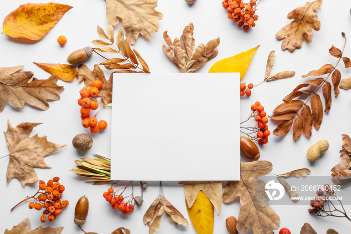 Beautiful autumn composition with empty card on white background