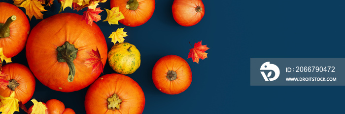 Top view on fresh pumpkins with autumn leaves and crops on dark blue background 3D Rendering, 3D Ill