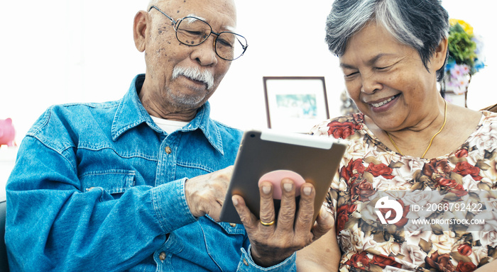 Senior couple online shopping with smile face.