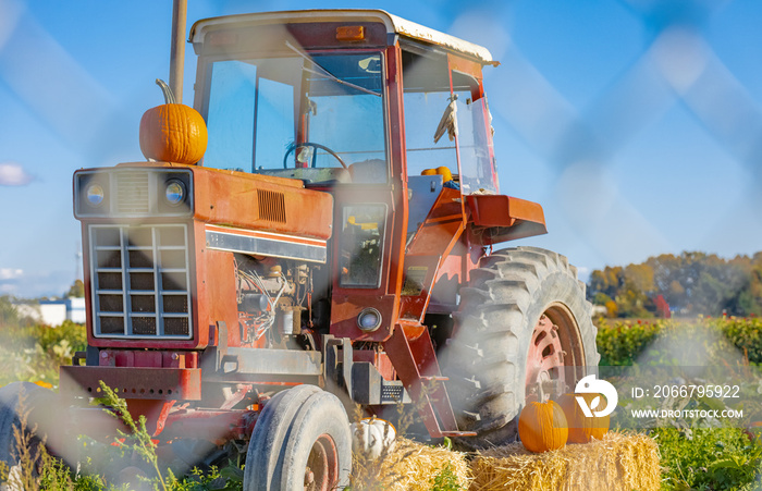 A tractor displays an autumn bounty in farm. A tractor decorated with hay and pumpkins for Thanksgiv