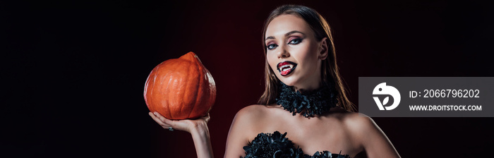 panoramic shot of scary vampire girl with fangs in black gothic dress holding Halloween pumpkin on b