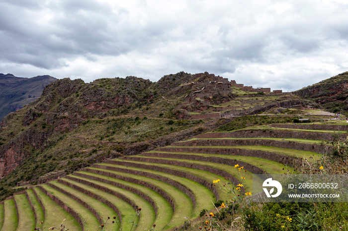 Inka ruins with Andens, stair-step like agricultural terrace dugs into the slope of a hillside in Pisac Archeological park, Peru