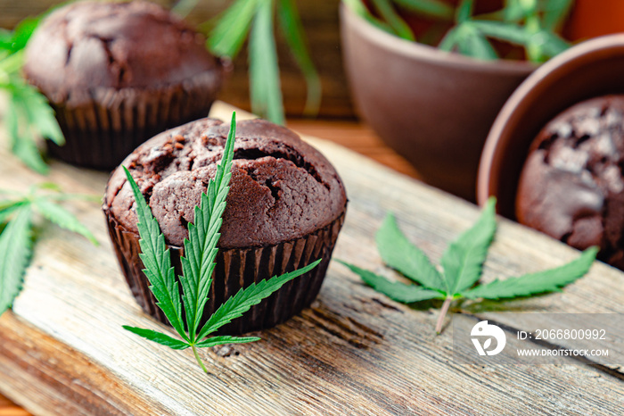 Chocolate cupcake muffins with cannabis weed cbd. Medical marijuana hemp drugs in food dessert, ganja legalization. Cooking baking chocolate weed muffins. Cupcake with marijuana.