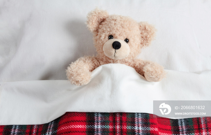 Cute teddy covered with a warm blanket, laying in bed