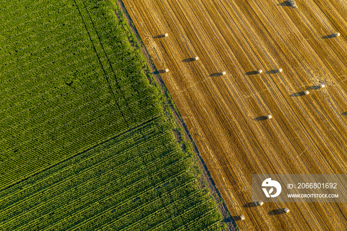 Aerial Flying over fields at harvesting time