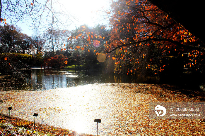 Autumn in Brooklyn Botanic Garden