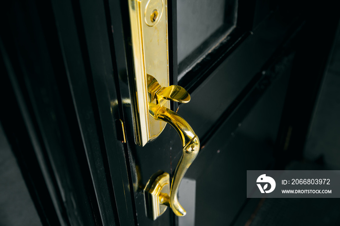 luxury door golden handle shiny with black wood door.
