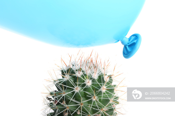 Cactus and air balloon on white background