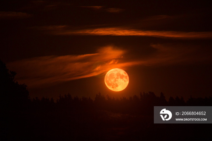 Blood Red Moon