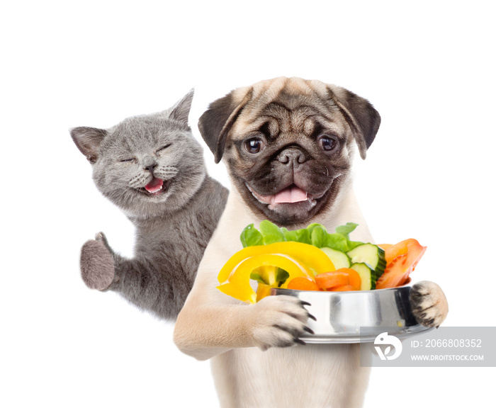 Happy cat and hungry puppy with bowl of vegetables. isolated on white background
