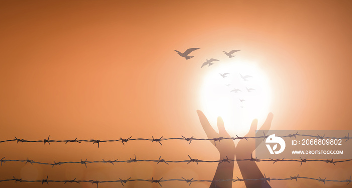 World mental health day concept: Silhouette prayer praise God and bird flying with barbed wire on blurred sunset background