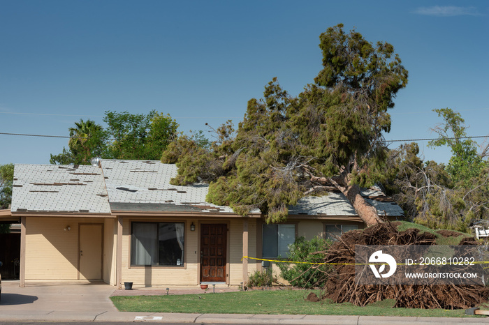 Tree Damage to Roof after Major Monsoon