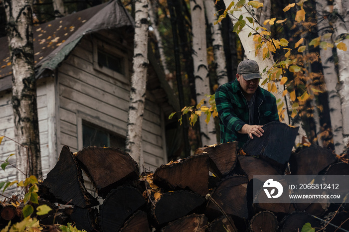 Mature man stacking logs in autumn forest, Upstate New York, USA