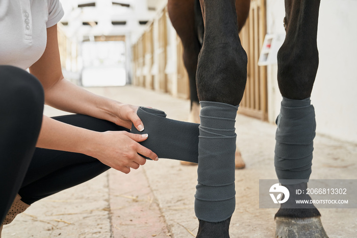 Close up of horse’s legs protected with grey bandages