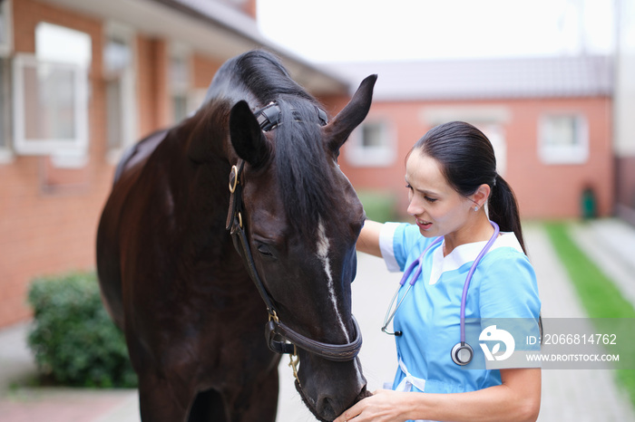 Female veterinarian doctor conducts a physical examination of black horse